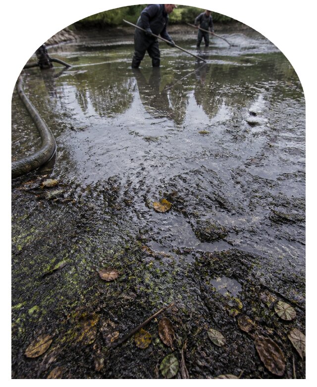 Очистка пруда в Туймазы от ила мусора и водорослей с вывозом